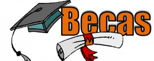 Beca APA