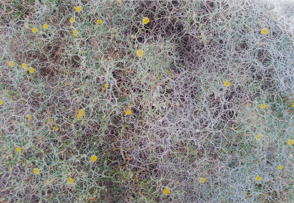 20140521_195135